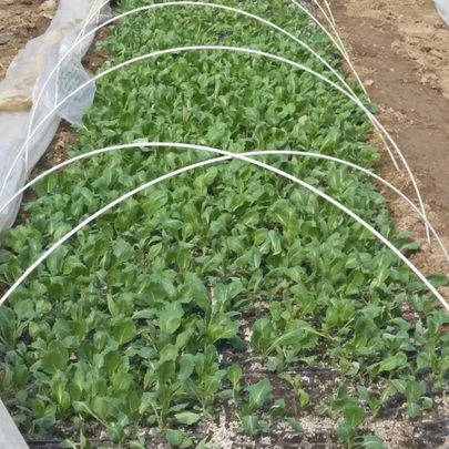 Fiberglass stake for farm crops_500_500.png